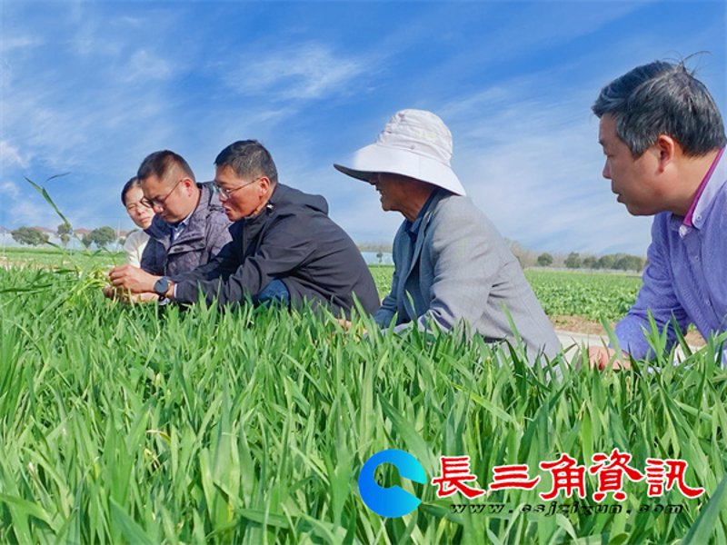 农业技术服务：引领现代农业科技革命